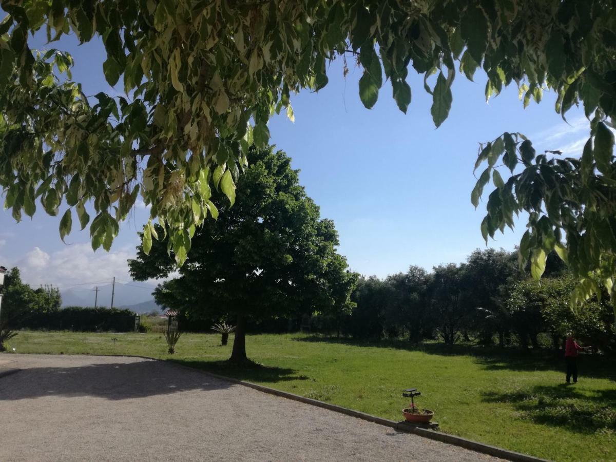 B&B Villa Napoli Battipaglia Luaran gambar