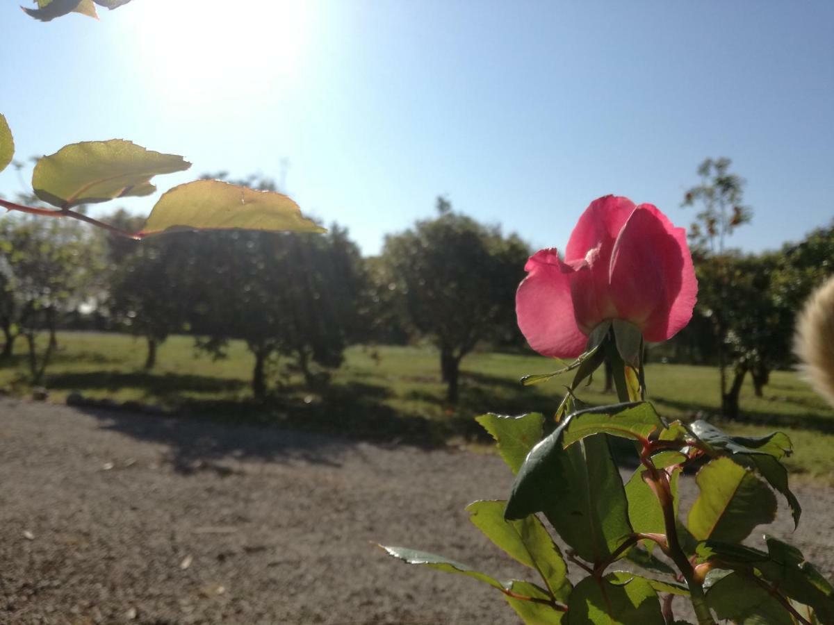 B&B Villa Napoli Battipaglia Luaran gambar